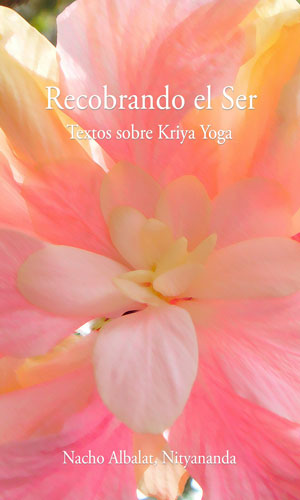 Recoverng the Self: Essays on Babaji's Kriya Yoga - Ebook - Click Image to Close